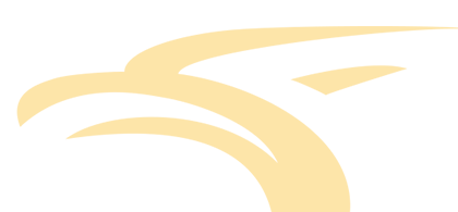 Native American Bank Logo