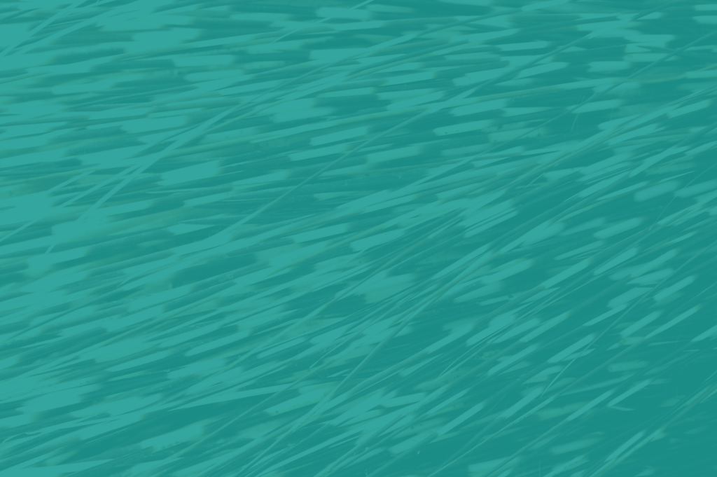 Nab Porcupine Background Teal